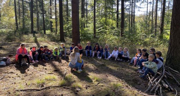 Wald-Projekt der Klasse 2a